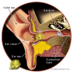 ear